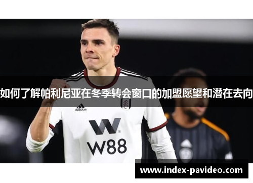 如何了解帕利尼亚在冬季转会窗口的加盟愿望和潜在去向