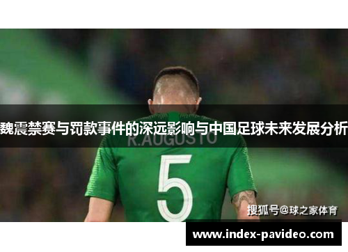 魏震禁赛与罚款事件的深远影响与中国足球未来发展分析