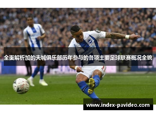 全面解析加的夫城俱乐部历年参与的各项主要足球联赛概况全貌