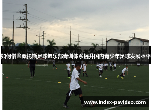 如何借鉴桑托斯足球俱乐部青训体系提升国内青少年足球发展水平