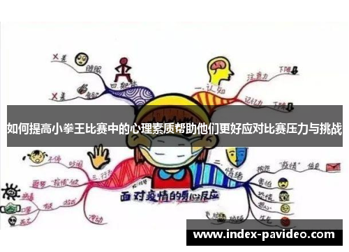 如何提高小拳王比赛中的心理素质帮助他们更好应对比赛压力与挑战