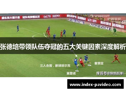 张德培带领队伍夺冠的五大关键因素深度解析