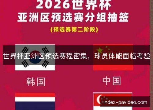 世界杯亚洲区预选赛程密集,球员体能面临考验 世界杯亚洲区预选赛程密集,球员体能面临考验